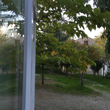 Camping Les Orangers San-Martino-di-Lota Szoba fotó