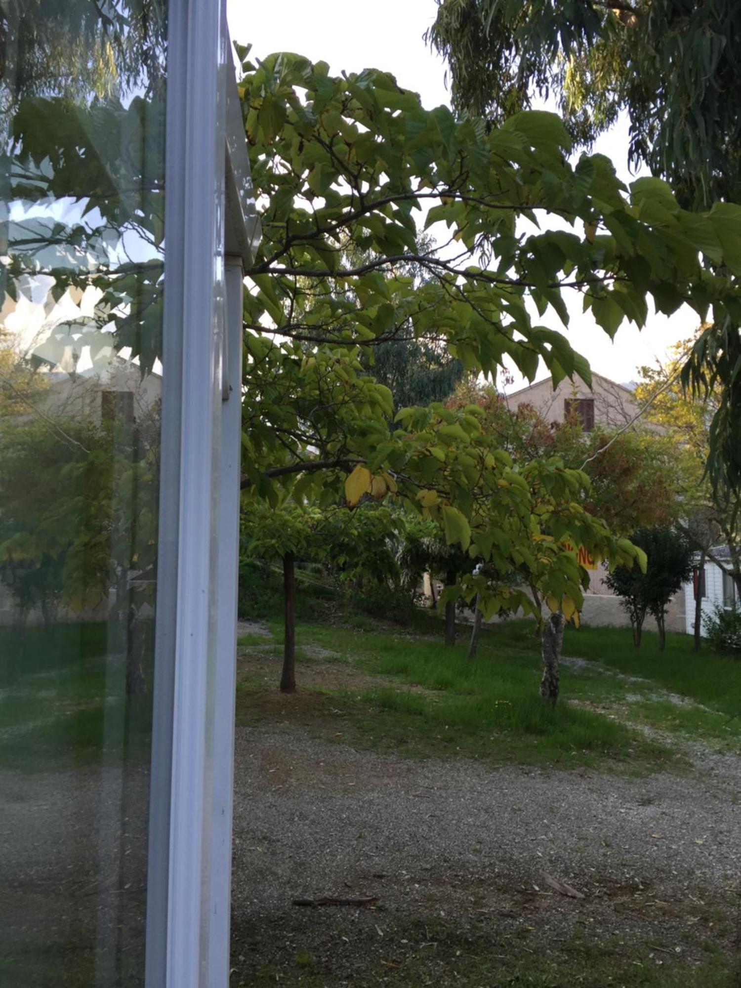 Camping Les Orangers San-Martino-di-Lota Szoba fotó