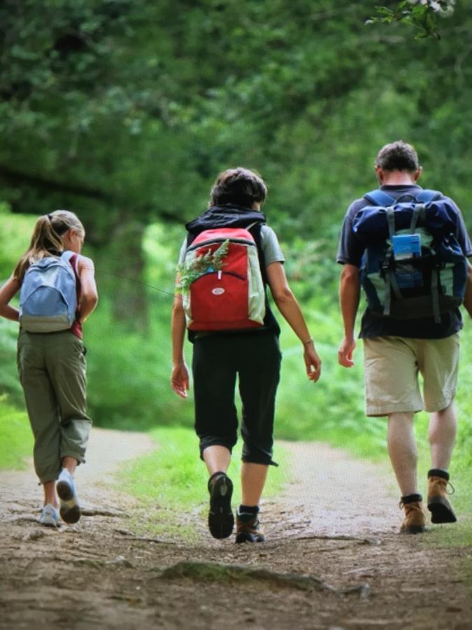 Camping Les Orangers San-Martino-di-Lota Kültér fotó